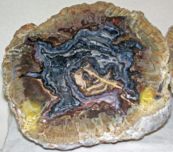 A cut nodule with a tan rind around swirling blue-gray and black agate
