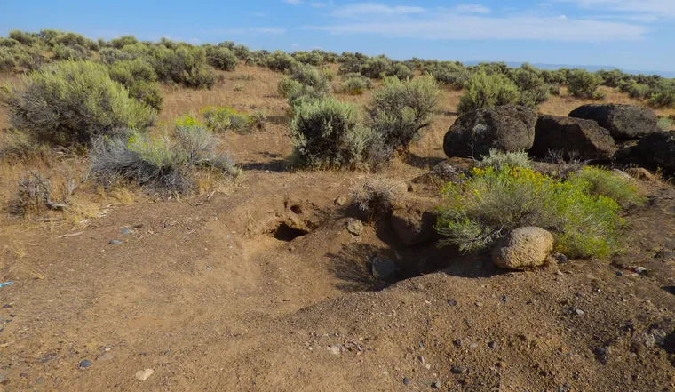 Sagebrush flats with small dug pits and loose rocks under a blue sky